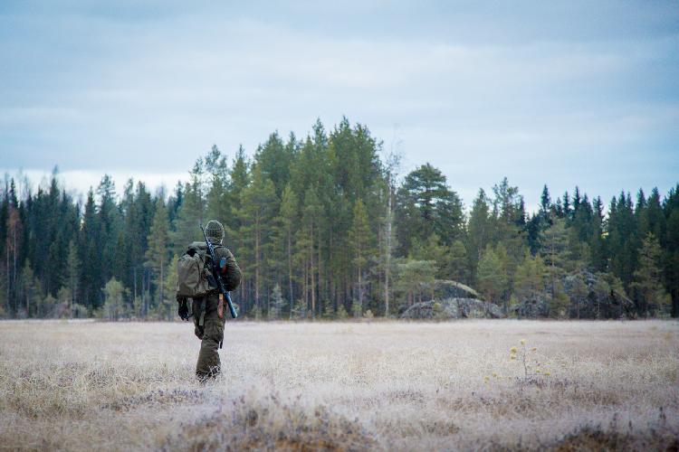 rhy.fi